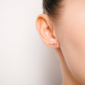 Aries Mar 21. Apr 19. Zodiac Earrings 925 Silver GOLD / SILVER / ROSEGOLD plated Star Constellation image 2