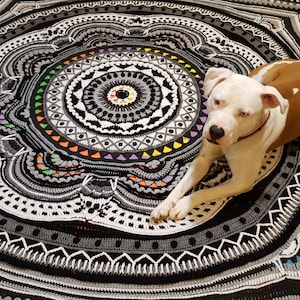 Ziggy's Odyssey