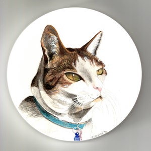 Ritratti di animali