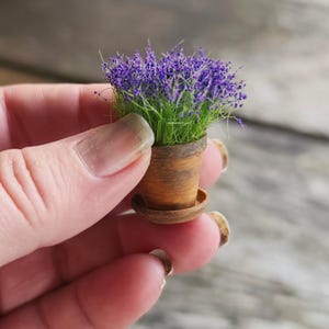 Op de afbeelding: Een miniatuurplant in een pot met een kleine bruine kleipot en bijpassende schotel, gevuld met een dichte bos levendige paarse lavendelbloemen en dunne groene stengels, vastgehouden tussen vingers om de kleine schaal aan te tonen.