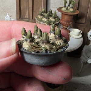 Op de afbeelding: Miniatuur grijze keramische pot gevuld met ontkiemende groene planten. De pot wordt in een hand gehouden, met andere miniatuur decoratieve elementen op de achtergrond, waaronder een kleine urne en een tafel.