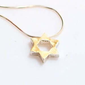 May include: A silver chain necklace with a gold-toned Star of David pendant.