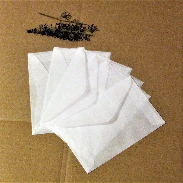 New Glassine Envelopes 3 1/4'' X 4 7/8'' (HxW), Insect Keeping, Crafts, Entomology, Butterfly