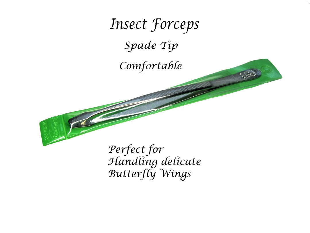 One Pair of Insect Forceps, Butterfly, Insect Supply, Tweezers for