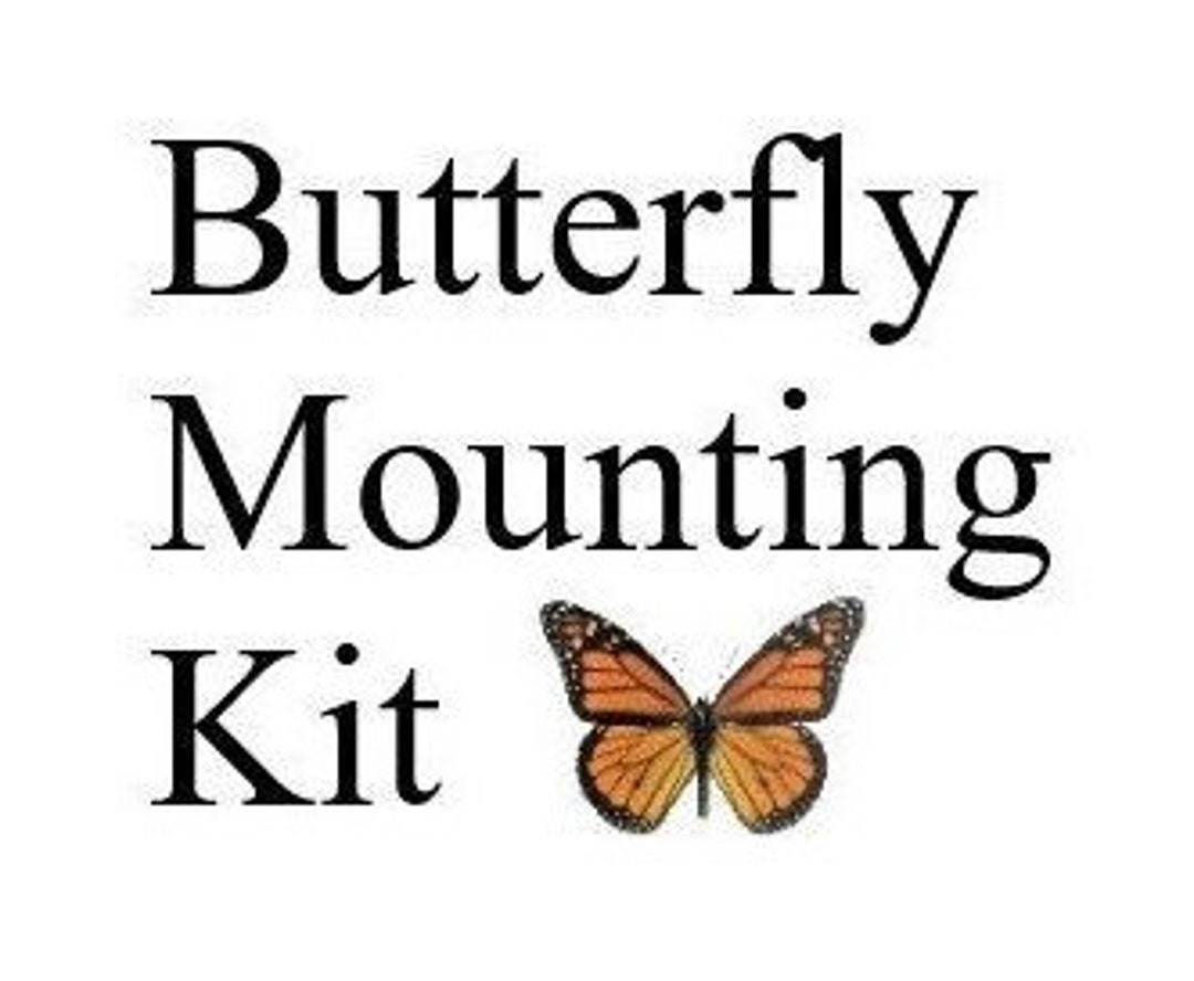 Beginner's Insect mounting kit With Instructions With 5 Etsy.de