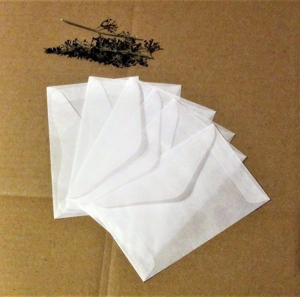 New Glassine Envelopes 3 1/4'' X 4 7/8'' Etsy