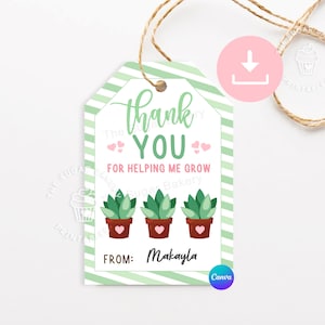 Cadeau de remerciement pour professeur, MODIFIABLE Merci de m'avoir aidé à faire pousser des étiquettes, étiquettes pour plantes succulentes cactus, étiquettes de fin d'année pour professeur