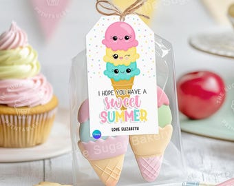 May include: A clear cellophane bag contains two ice cream cone-shaped cookies. A tag tied with twine features a cartoon ice cream cone and the text "I HOPE YOU HAVE A SWEET SUMMER". The cookies are pink, green, and yellow.