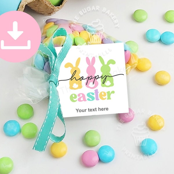 HOPPY Easter Tags, Happy Easter Tags, Easter COOKIE TAGS, Printable Easter Bunny Treat tags, Easter gift tags, Easter Tags printable boy