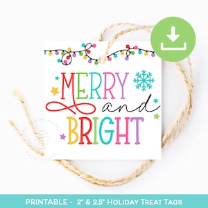 Merry & Bright Christmas Cookie Tag, Weihnachtsplätzchen Tag, bunte Weihnachten Geschenkanhänger, druckbare Frohe Weihnachten Geschenkanhänger, personalisiert