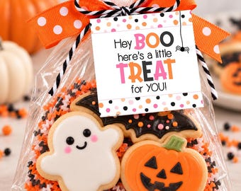 May include: A clear plastic treat bag filled with Halloween-themed sugar cookies shaped like a white ghost, an orange pumpkin, and a black bat. A tag attached with a black and white string reads: Hey BOO here's a little TREAT for YOU!