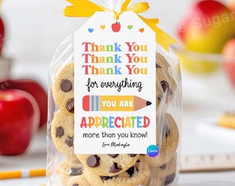 May include: A clear cellophane bag tied with a yellow ribbon, filled with chocolate chip cookies. A white tag with colorful text reads "Thank You" and "You Are Appreciated". The cookies have chocolate chips.