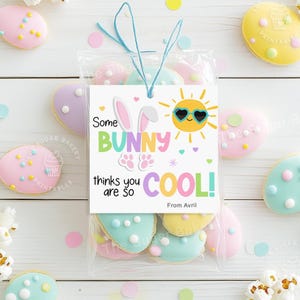 May include: A white gift tag with a cartoon bunny wearing sunglasses and the text "Some bunny thinks you are so cool!"  The tag is in a clear plastic bag with pastel colored Easter egg cookies.