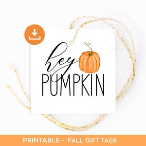 Hey Pumpkin Fall Gift Tags, Printable Autumn Thanksgiving Tag, Pumpkin Favor Label, Rustic Fall Harvest Treat Bag Tags, Party Favor Tags
