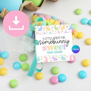 Afdrukbare paastags, een kleine traktatie voor SOMEBUNNY Sweet, Easter Cookie TAGS, bewerkbare paashaastag, afdrukbare paashaastraktatietags