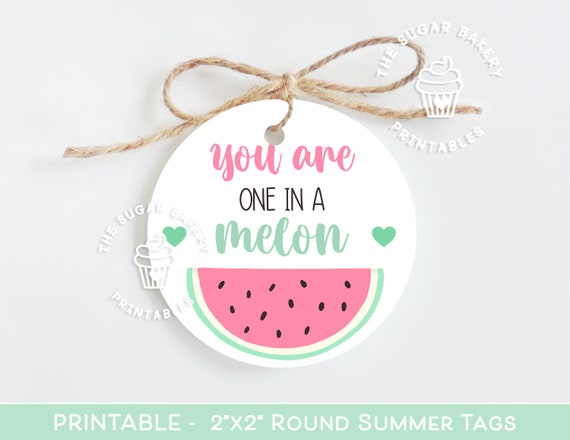 You are ONE in a MELON Tags, Watermelon Tags, Watermelon Cookie tag, TEACHER Gift Tag, end of year student gift, End of year teacher tags