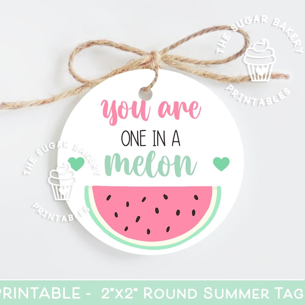 You are ONE in a MELON Tags, Watermelon Tags, Watermelon Cookie tag, TEACHER Gift Tag, end of year student gift, End of year teacher tags