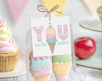 Have a COOL Summer-tag, BEWERKBARE Ice Cream-tag, Have a Sweet Summer-tag, einde schooljaartags, cadeau voor studenten van leraar