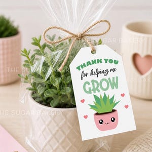 May include: A small potted plant in a white ceramic pot, wrapped in clear cellophane and tied with twine. A tag reads "Thank You for helping me GROW" with a cute succulent illustration and hearts. The pot is approximately 3 inches in diameter.