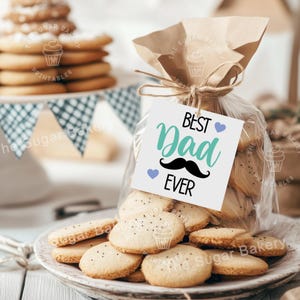 Etiqueta para impressão de dia dos pais Melhor pai de todos os tempos Etiquetas de bigode Feliz dia dos pais Etiquetas para impressão de biscoitos Feliz dia dos pais Etiquetas para presente de melhor pai