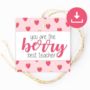 Etiquetas de agradecimento ao professor, você é o melhor PROFESSOR BERRY, etiqueta de morango, etiqueta de presente de PROFESSOR, presente de final de ano para etiquetas de professor