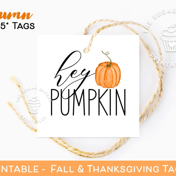 Hey PUMPKIN FALL Cookie TAGS, Printable Autumn treat tags, Fall Gift basket tags, Printable pumpkin gift tag, Treat Bag Tag Instant Download