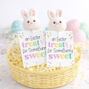 Printable Easter Lollipop Holder, An Easter treat for someBUNNY sweet, Easter Lollipop Holder Cake Pop Party favor candy classroom tag card
