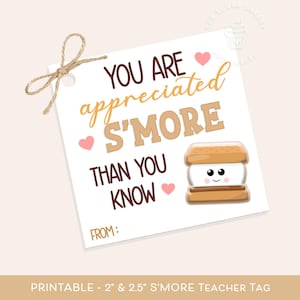 Vous êtes apprécié plus que vous ne le pensez, étiquettes de remerciement pour enseignant, étiquette d'appréciation pour enseignant, étiquette à cookie pour enseignant, cadeau de fin d'année pour enseignant