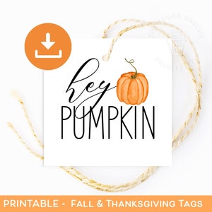 Hey PUMPKIN FALL Cookie TAGS, afdrukbare tags herfsttraktatie, tags herfstcadeaumand, afdrukbare pompoencadeautag, traktatiebagtag direct downloaden