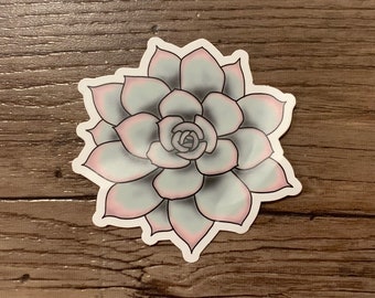 Succulent Decal | Car Decal | Vinyl Decal
