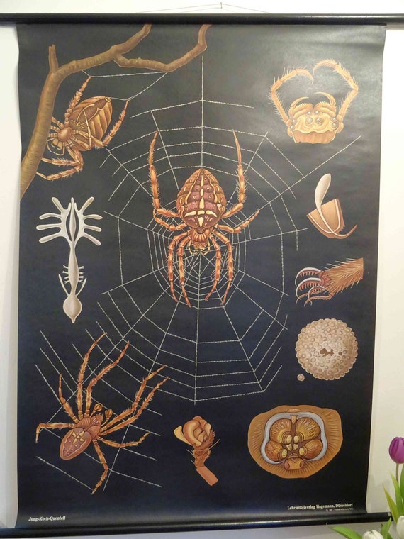 ヴィンテージ壁掛けパズルスパイダー