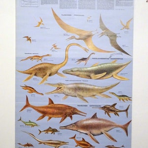 School wall map  | dinosaurs (pterosaurs, paddle dinosaurs, fish dinosaurs) Schreiber nature charts - 80s rare! original wall hanging chart