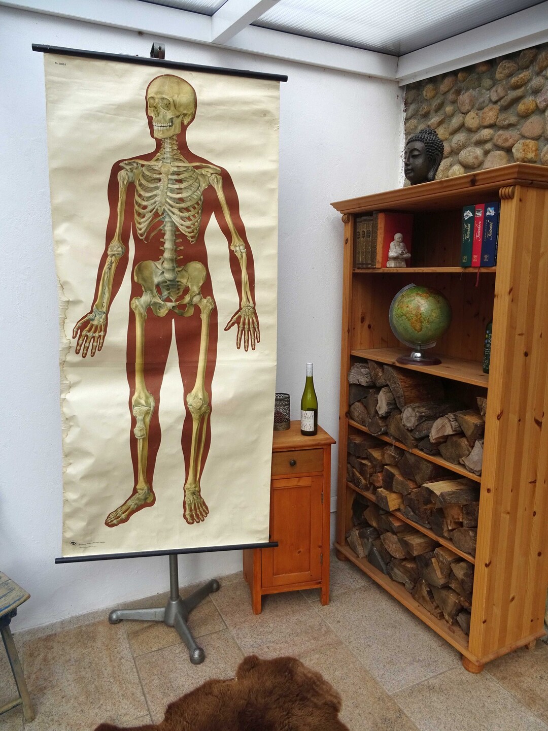 Vintage School Chart | Skeleton (front) / Human / Body / Medicine, 70's ...