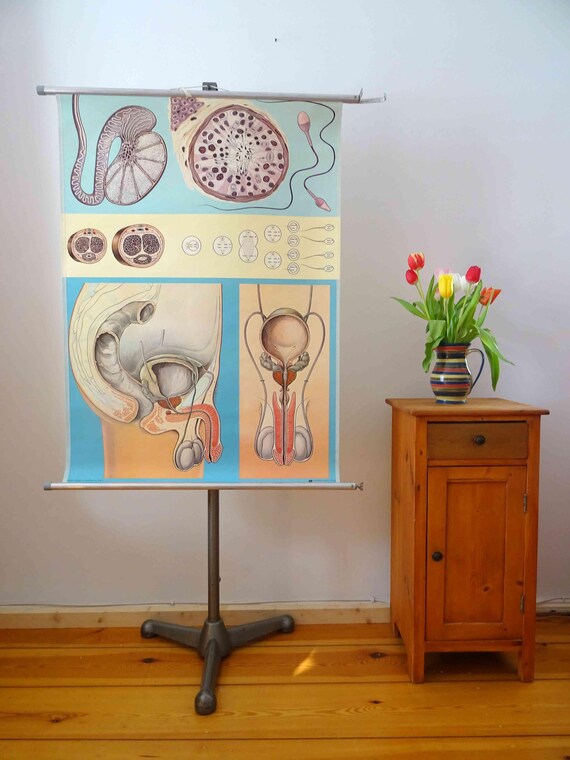 Wand Streichen Ideen Und Techniken Fur Moderne