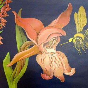 carte scolaire vintage | orchidée à larges feuilles 0078 - Jung Koch Quentell, vintage rétro des années 60, tableau scolaire, tableau mural en toile