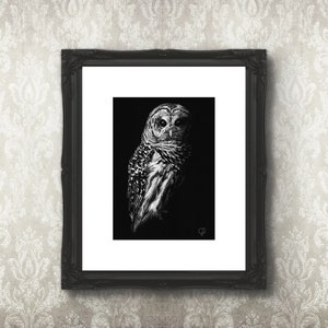 Owl Art Print, 5x7 Print on 8x10 Archival Smooth Matte Paper, Black and White Wall Art, Scratchboard Art, Fine Art Print, Barred Owl Art