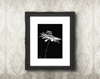 Bee Art Print, 5x7 Print on 8x10 Archival Smooth Matte Paper, Black and White Wall Art, Scratchboard Art, Fine Art Print, Bee Flower Art