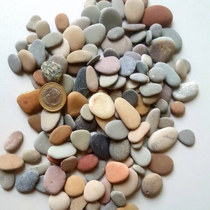150 pezzi da 1 cm a 3 cm / 0,39'' - 1,18'' di piccoli ciottoli naturali della spiaggia baltica, decorazioni per la casa, ciottoli per mosaico, forniture per l'arte con ciottoli