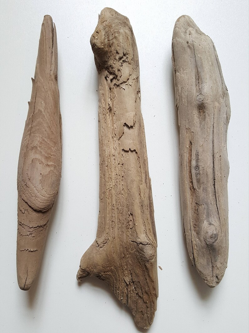 Driftwood Art Supplies 11.8/'/' Home Decor Decorative Driftwood 24-30 cm 9.5/'/' 3 Driftwood Pieces