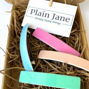 May include: Set of four hair clips in a cardboard box with brown paper shredding. The clips are in shades of blue, pink, green, and peach. The box has a card with the text "Plain Jane Simply lovely things".