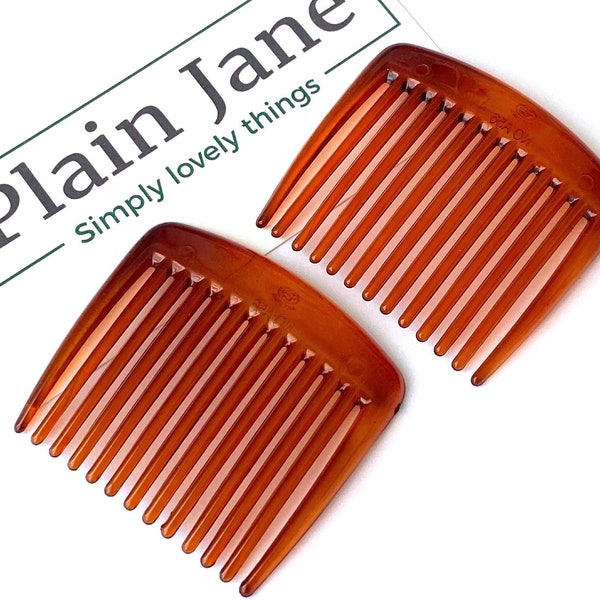 Kleine, aber feine Seitenkämme x2 von Plain Jane – Damen-Haarkämme – Schildpatt-Haarkamm – französische Haarkämme aus Acryl – schwarze Haarkämme