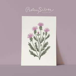 Könnte beinhalten: Botanische Illustration einer Distel mit lila Blütenköpfen und grünen Blättern. Das Kunstwerk befindet sich auf weißem Hintergrund. Die Signatur des Künstlers, "Betsy Silver Illustration", ist oben in Schreibschrift.