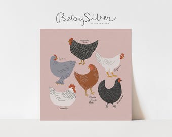 Op de afbeelding: Een illustratie van zes verschillende soorten kippen, elk met een unieke kleur en patroon. De kippen zijn gelabeld met hun rasnamen: Plymouth Rock, Cochin, Leghorn, Rhode Island Red, Australorp en Sussex.