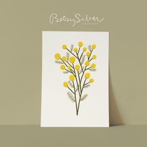 Könnte beinhalten: Botanische Illustration mit einem Zweig gelber Mimosenblüten auf weißem Hintergrund. Das Kunstwerk ist mit "Betsy Silver Illustration" signiert. Die Mimose hat gelbe, runde Blütenstände und dunkelgrüne Stiele.