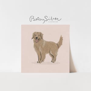 Könnte beinhalten: Illustration eines hellbraunen Golden Retrievers vor rosa Hintergrund. Der Hund hat ein langes, flauschiges Fell und die Zunge ist sichtbar. Das Kunstwerk ist signiert "Betsy Silver Illustration".