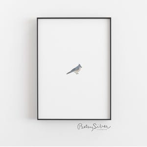 Tiny Tufted Titmouse Illustration | Kid Room Decor | Nursery Wall Art | Miniature Wall Art | Tufted Titmouse Drawing | Minimalist Wall Art