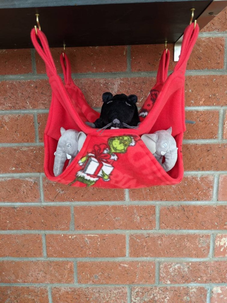 rat Ferret the Grinch chinchilla double hammock squirrel