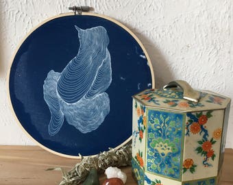 Cyanotype on Hoop 9.5" diameter