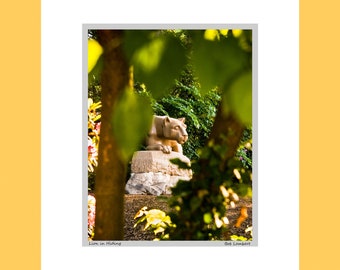 Nittany Lion Shrine Photo – Penn State Landmark Art, Signed & Matted