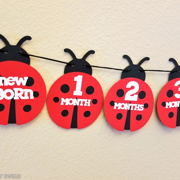 Ladybug First Year Photo Banner, Ladybug 1st Birthday Party, 12 Month Birthday Banner, First Year Picture Banner, Newborn to 12 Month Photos